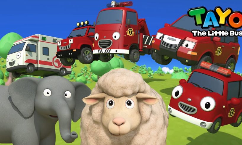 The Animal Rescue Team | Tayo Red Rescue Team Song | New Rescue Truck l Safety Song for Kids