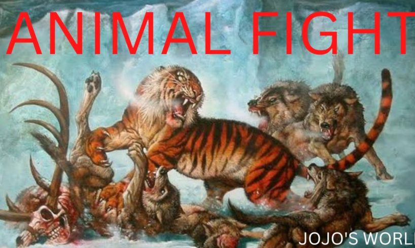 The Best Of Animal Attack - Most Amazing Moments Of Wild Animal Fight #jojosworld #youtube