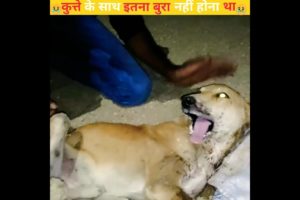 कुत्ते 🐕 के साथ बहुत बुरा हुआ😭| dog rescue | animal rescue| Emotional video|Emotional shorts #shorts