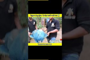 ये dog मारते मारते बचा है 😢😢😢||#viral #short #animals #rescue #ytshorts #dogvideo