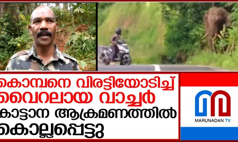 കാട്ടാന ആക്രമണം: കൊമ്പനെ വിരട്ടി വൈറലായ വാച്ചര്‍ കൊല്ലപ്പെട്ടു | sakthivel death