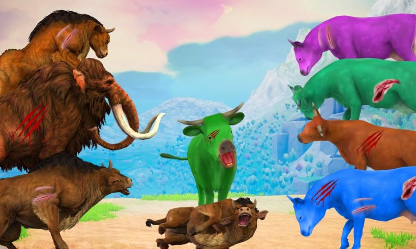 10 Zombie Cows vs Giant Bull Fight Baby Bull Saved By 5 Woolly Mammoths Cow Cartoon Animal Fights