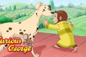 Curious George 🐵 George rescues a dog! 🐵 Kids Cartoon 🐵 Kids Movies 🐵 Videos for Kids