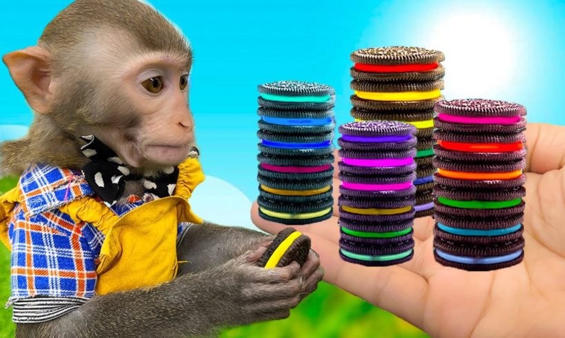 Funniest Animals 2023 🙉| Monkey Baby Bim Bim eats RAINBOW OREO and play with naughty dinosaur