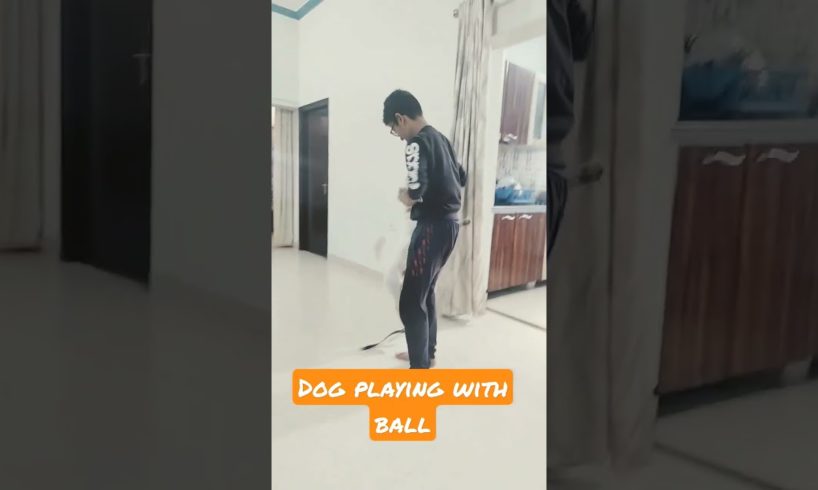 Playing With Dog #indian #dog #doglover #animals #viral #youtubeshorts #viralvideo