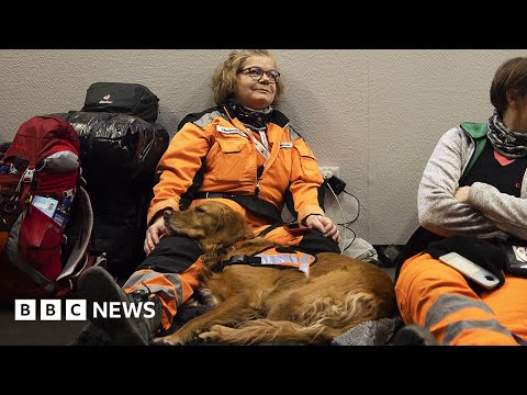 Turkey-Syria earthquake aid efforts bolstered by search and rescue dogs – BBC News