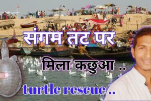 turtle rescue || गंगा तट पर मिला कछुआ || Animal rescue || Amit yadav ❤️💖