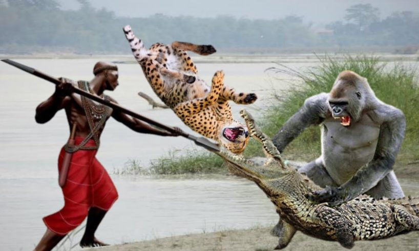 12 Craziest Animal Fights of All Time 2023