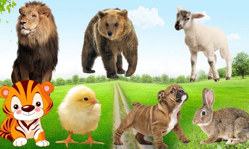 Beautiful park with many rare animals playing together: monkey, hedgehog, cow, duck, pig