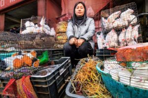 India's SCARIEST Meat Market!! Rats, Cats, Dogs and More in Nagaland!!