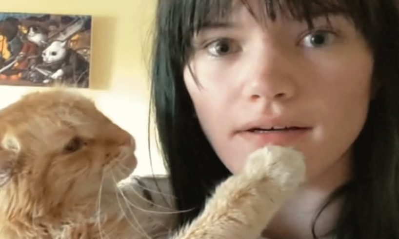 Shy rescue cat loves only one human