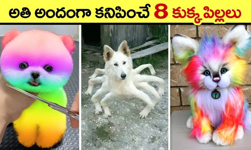 🔵 బుజ్జి కుక్క పిల్లలు | Cutest Dogs in the World | World’s Cutest Dog Breeds | #puppy  #dog