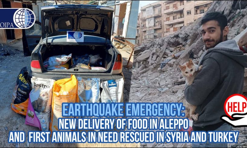 EARTHQUAKE EMERGENCY: DISTRIBUTED FOOD IN ALEPPO AND FIRST RESCUE ACTIVITIES IN TURKEY AND SYRIA