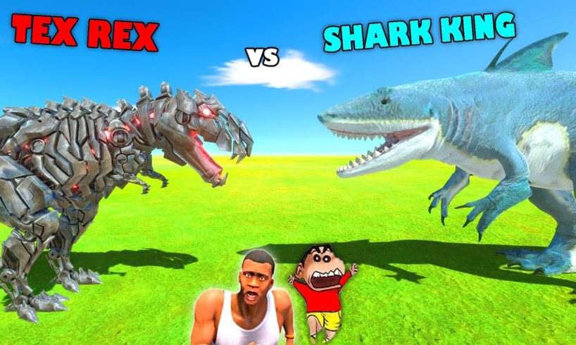 KING SHARK vs TEX REX to rescue THOR HYDRA in Animal Revolt Battle Simulator | SHINCHAN and CHOP