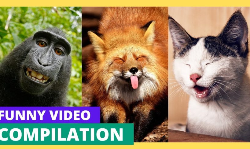 Laughing Guaranteed😅😂: Top 30 Viral Cat 🐱and Dog 🐶Videos of All Time 🐶🐱