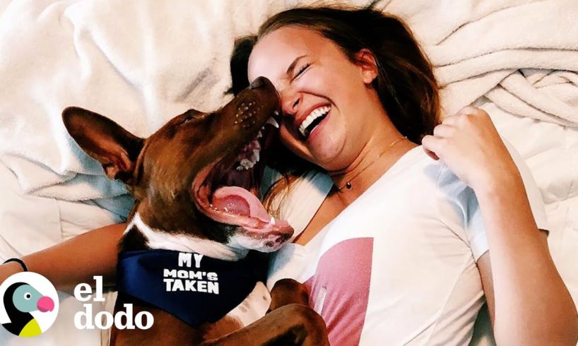 Perro rescatado sabe exactamente cómo consolar a su persona favorita | Almas Gemelas | El Dodo