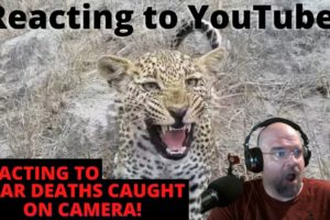 Reacting to Near Death Captured on camera 119! This one made me jump!