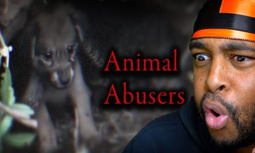 THEY ARE FAKING ANIMAL RESCUES??