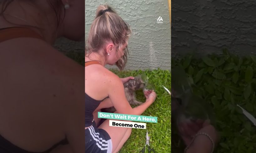 Two Girls Rescue Racoon From Bottle | People Are Awesome #shorts