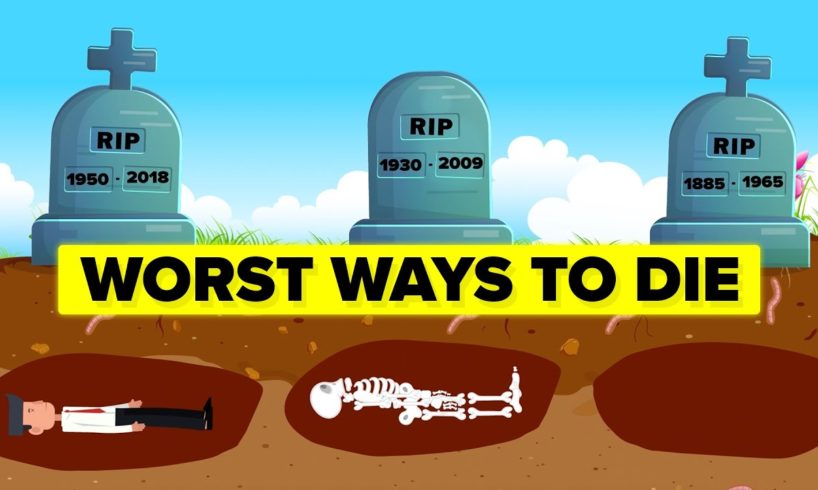 Worst Ways to Die (Compilation)