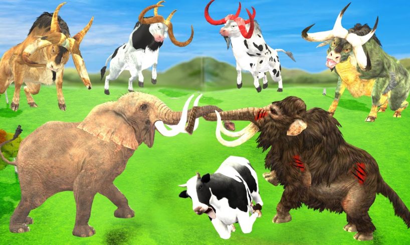 Zombie Mammoth Vs Elephant Save Cow Cartoon from Mammoth Attack 3 Big Bulls Animal Epic Battle