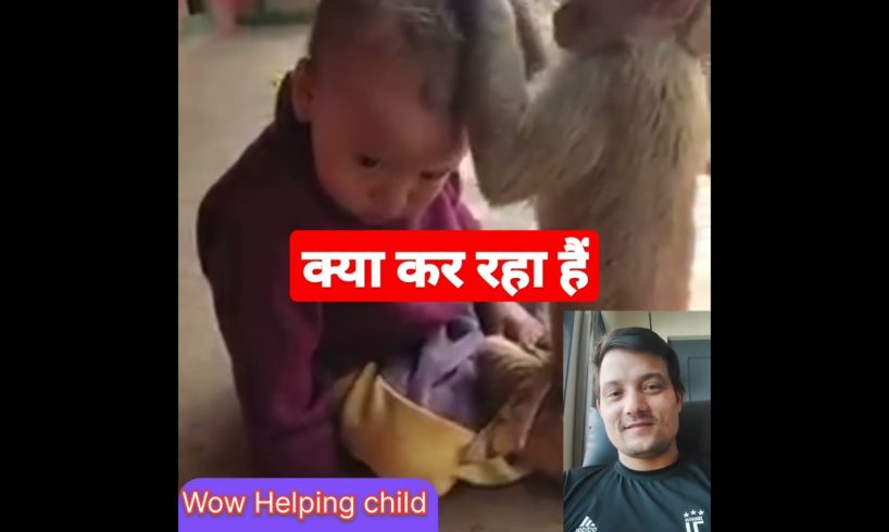 monkey playing with children Ldbs lover #shortsviral #animals #youtubeshorts