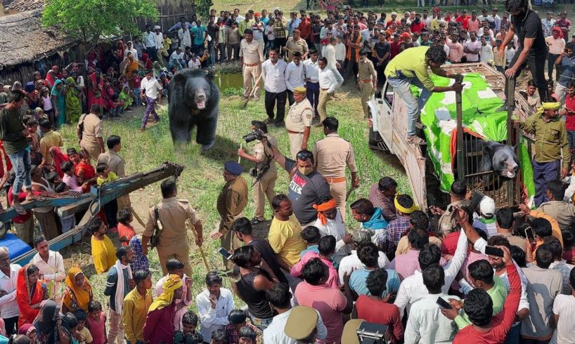 हैरतअंगेज कारनामा, इस गांव में खूंखार जानवर का रेस्क्यू कैसे किया!Dangerous Animal Rescue in Village