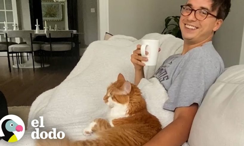 Al este gato le gusta más papá que mamá | Cat Crazy | El Dodo