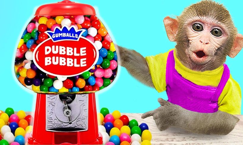 Baby Monkey KiKi playing Rainbow Gumballs Dubble Bubble Candy Dispenser | KUDO ANIMAL KIKI