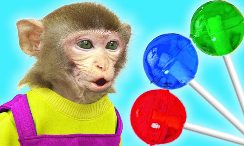 KiKi Monkey playing with 1000+ Miniature Fruits Lollipop Sweet Candy | KUDO ANIMAL KIKI