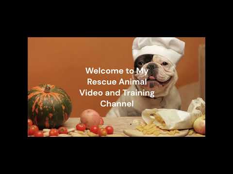 My New Animal Rescue Channel. Featuring Discussions about Rescues