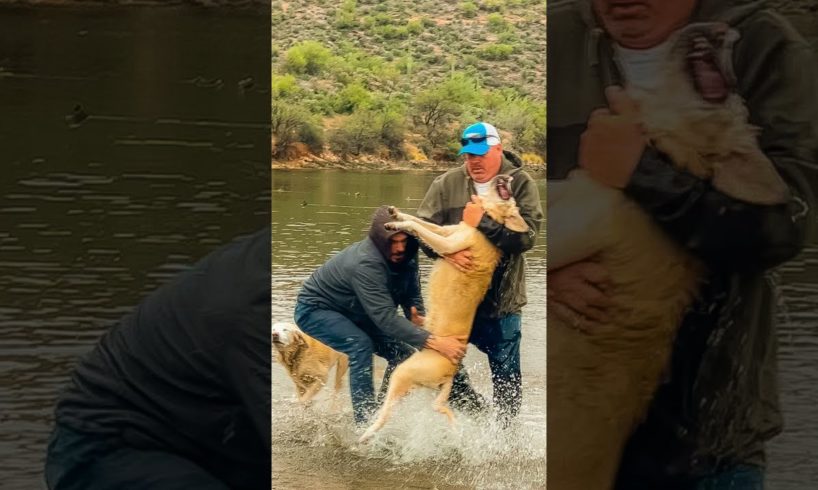 Viral video captured while visiting Arizona - Man saves his dog