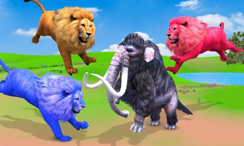 3 Zombie Lions vs Cow, Mammoth Elephant Animal Fight | Cow Run Away from Lions vs Woolly Mammoth