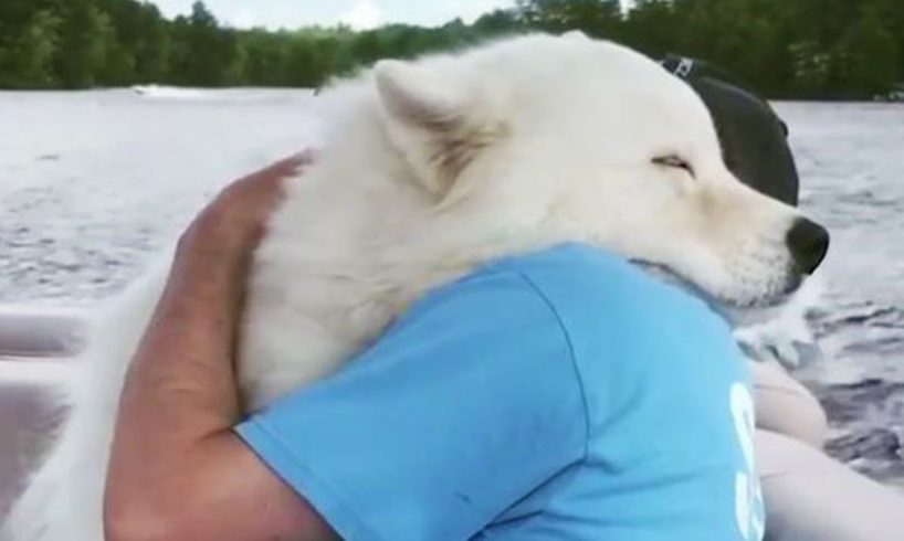 Animals Showing True And Unconditional Love to Human -  Cute Animal Video