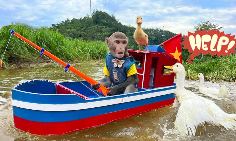 Baby monkey Bim Bim rescues ducklings from shark