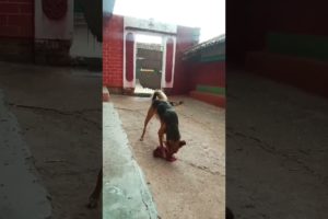 Dog Playing #trending #animals #shorts