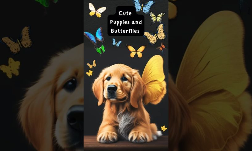 Dogs: 15 fun facts about puppies playing with butterflies. #dog #puppy #shorts