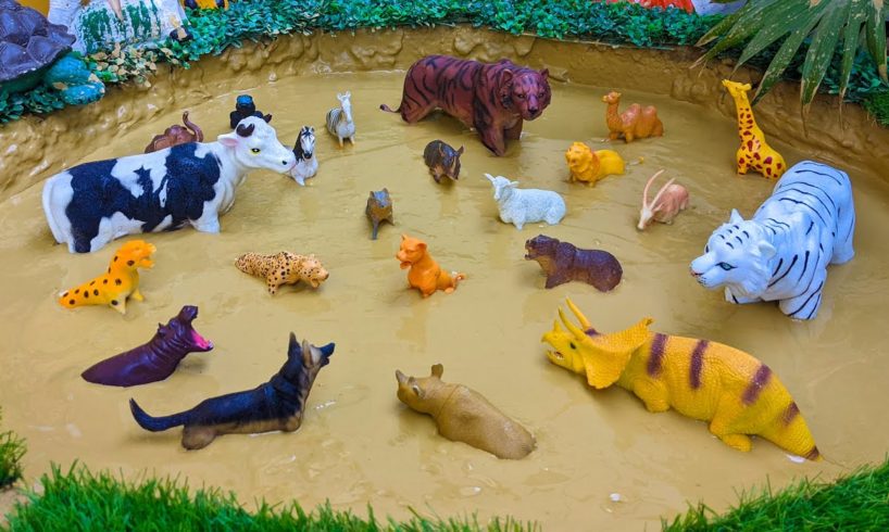 Farm Animal Cow Big Wild Cats White Tiger Black Tiger Jungle Animals Wild Animals Stuck in Mud