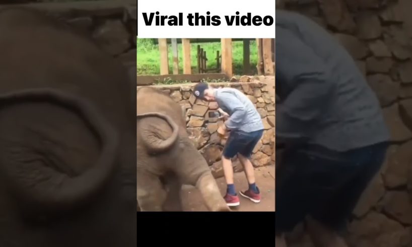 Funny fails of the week #funny #shorts #viralvideo