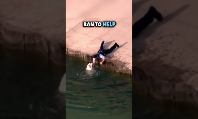 Heroic cop rescues dog from drowning in water ❤️ #shorts