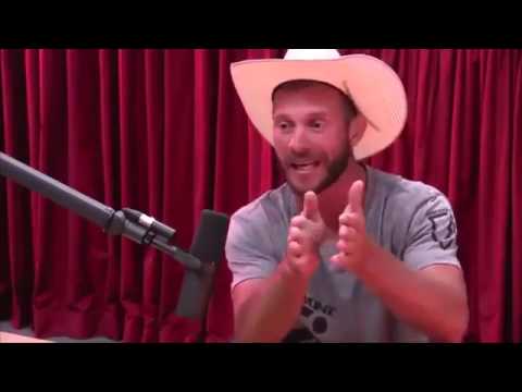 Joe Rogan and Donald Cowboy Cerrone Talk Street Fights