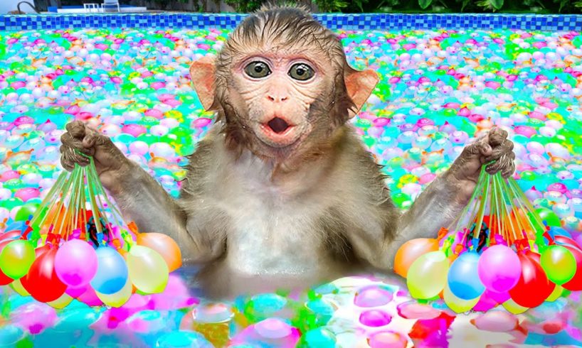 KiKi Monkey swims at the swimming pool full of Water Balloon with duckling | KUDO ANIMAL KIKI