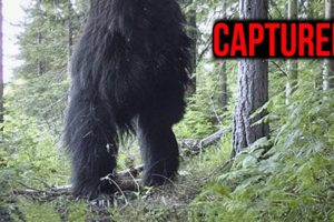 MEGA COMPILATION of Disturbing Trail Cam Footage 2023