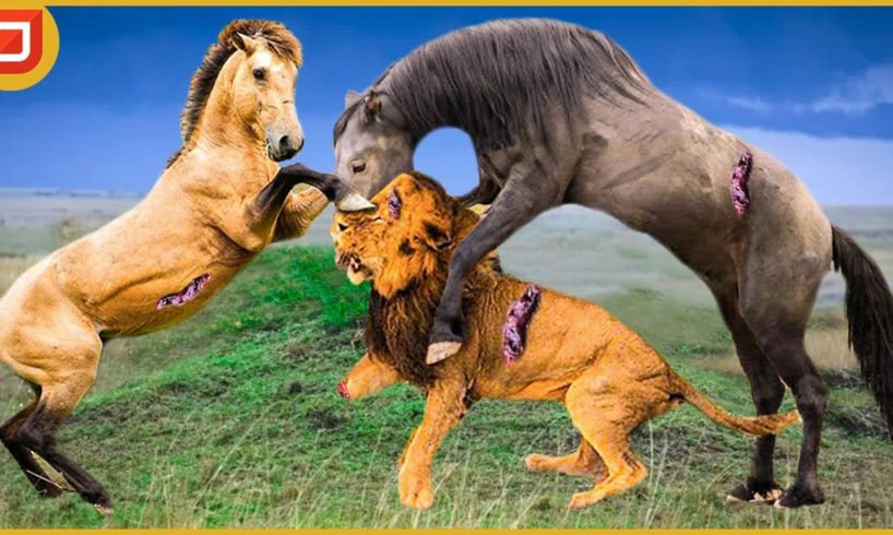 OMG! Wild Horses Face Bloodthirsty Lions, Can Wild Horses Survive? | Animal Fight