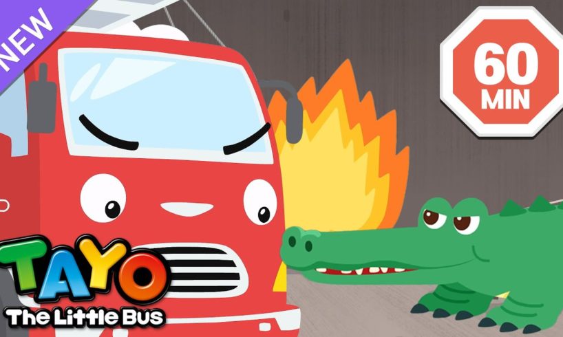 Tayo Animal Rescue Team Full Compilation | Learn Animal Cartoons for Kids | Tayo the Little Bus