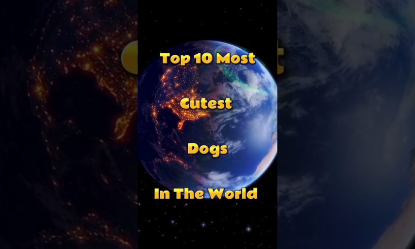 Top 10 most cutest dogs in the world #shorts #top10 #youtubeshorts