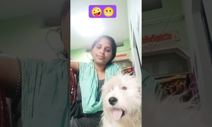 ek rupye mein kharida hai 🤣😜👍#shorts #shortsfeed #viral #dog #doglover