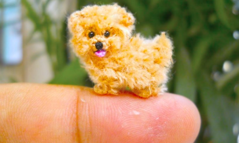 20 Smallest Dog Breeds In The World