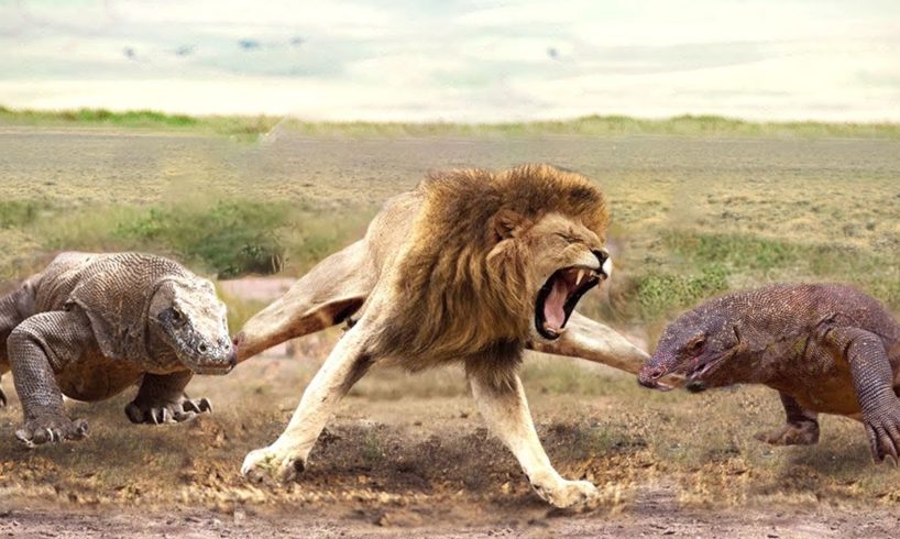 Aghast! The Brutal Moment When the Fierce Lion Couldn't Avoid The Giant Lizard Bites| Wildlife 2023