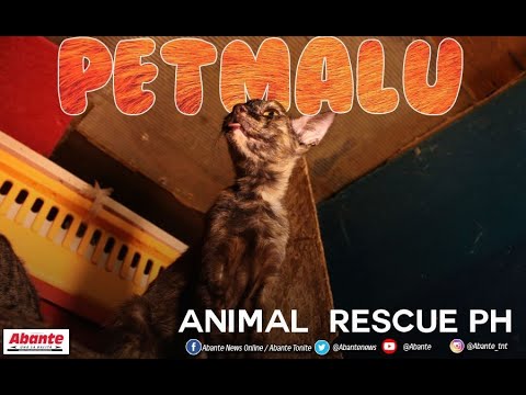 Animal Rescue PH tampok sa Petmalu!